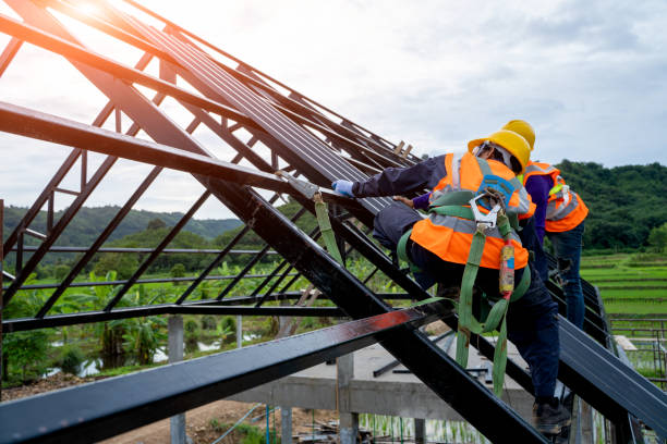 Best Roof Gutter Cleaning  in Colchester, IL