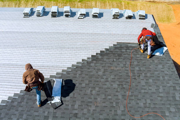 Best Flat Roof Repair Services  in Colchester, IL