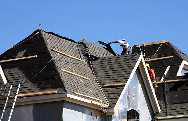 Roof Gutter Cleaning in Colchester, IL
