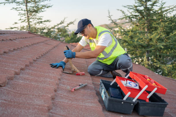 Best Metal Roofing Contractor  in Colchester, IL