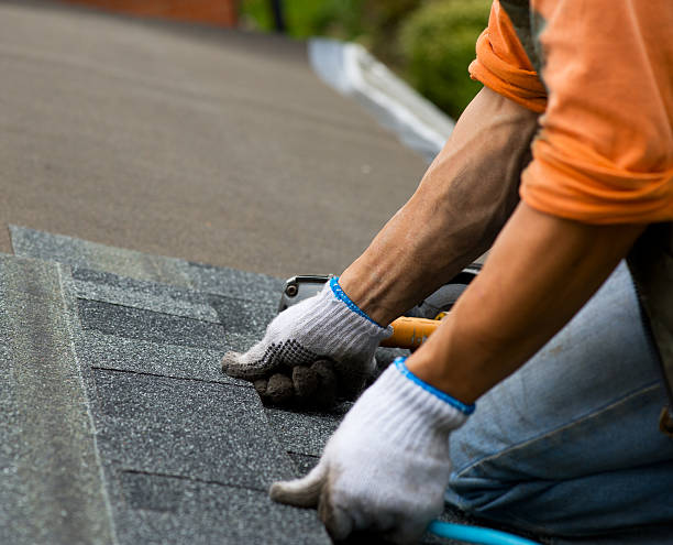 Quick and Trustworthy Emergency Roof Repair Services in Colchester, IL
