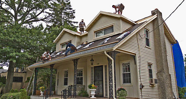 Best New Roof Installation  in Colchester, IL